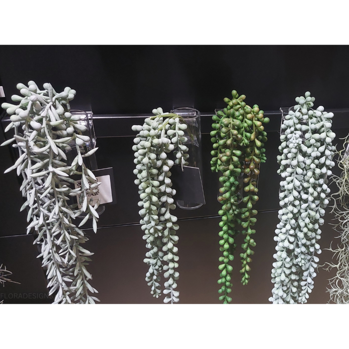 String of Pearls Hanging Bush Grey Green 45cm Pack of 12