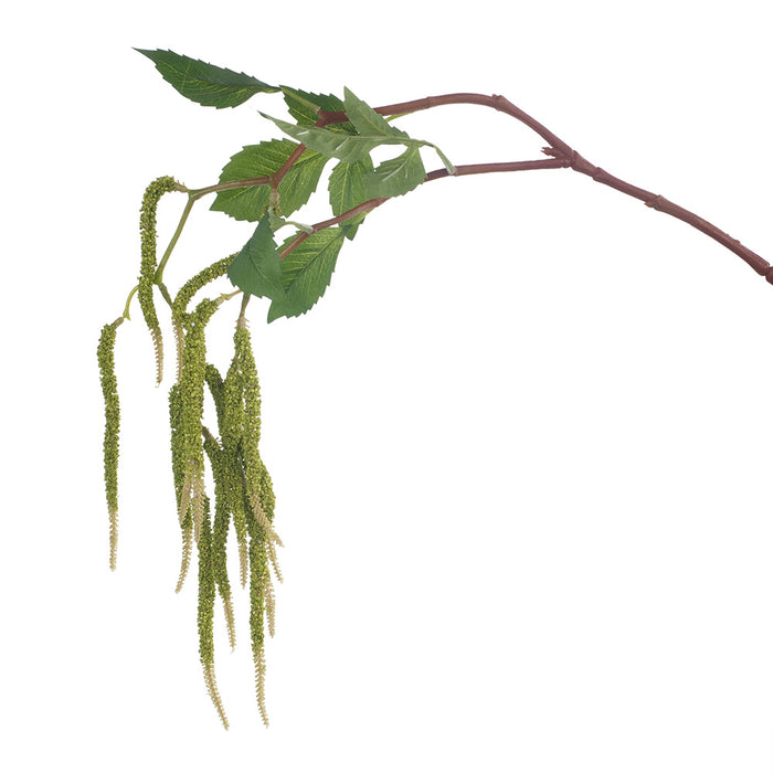 Amaranthus Spray Green 88cm - Pack of 12