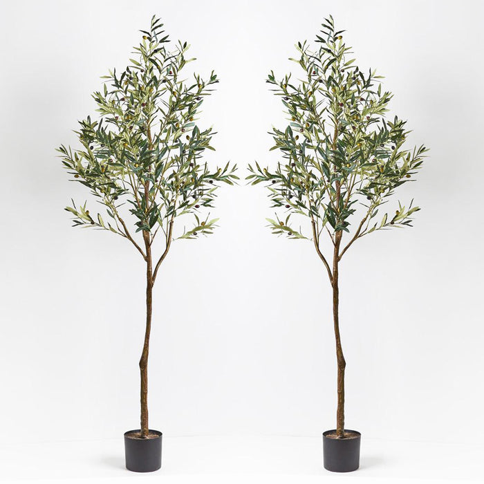 Olive Tree Green 213cm Pack of 2