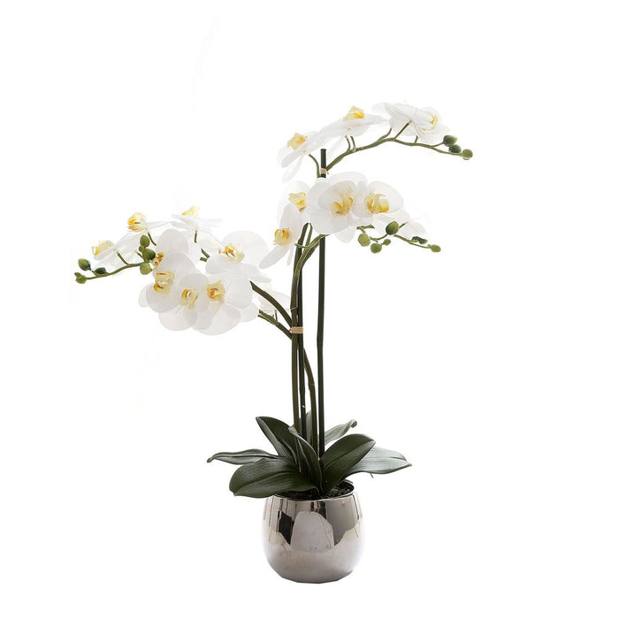 Orchid Phalaenopsis White Real Touch In Silver Pot 67cm
