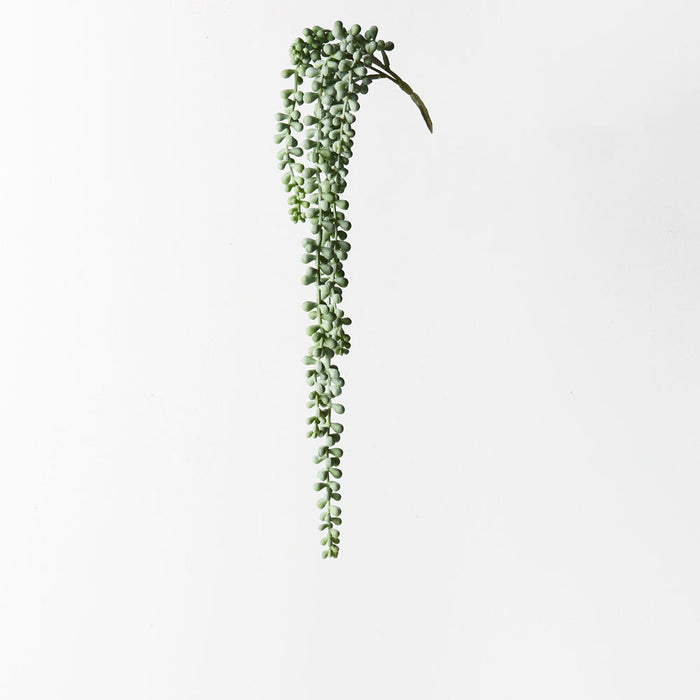 String of Pearls Hanging Bush Grey Green 45cm Pack of 12