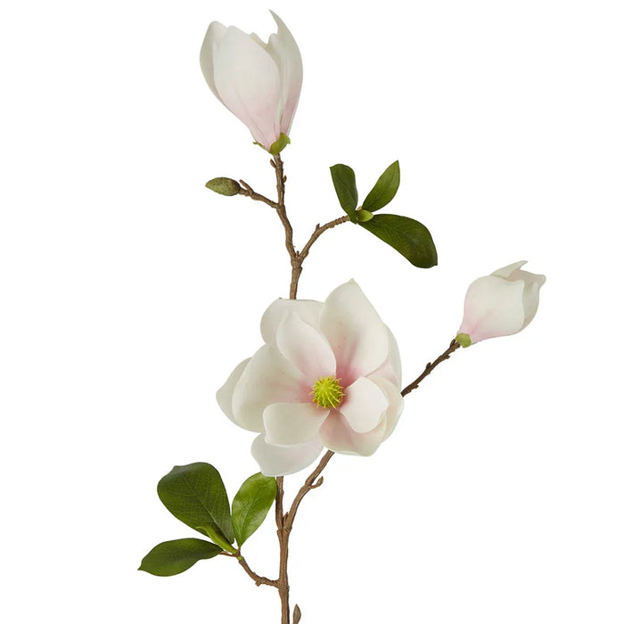 Magnolia Spray White 79cm Pack of 12