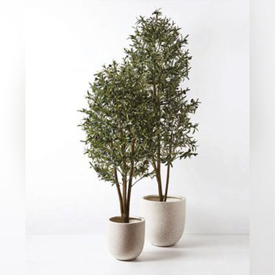 Artificial Plants & Trees