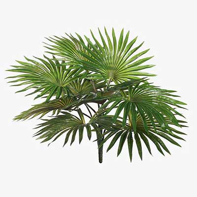 Other Greenery Decor