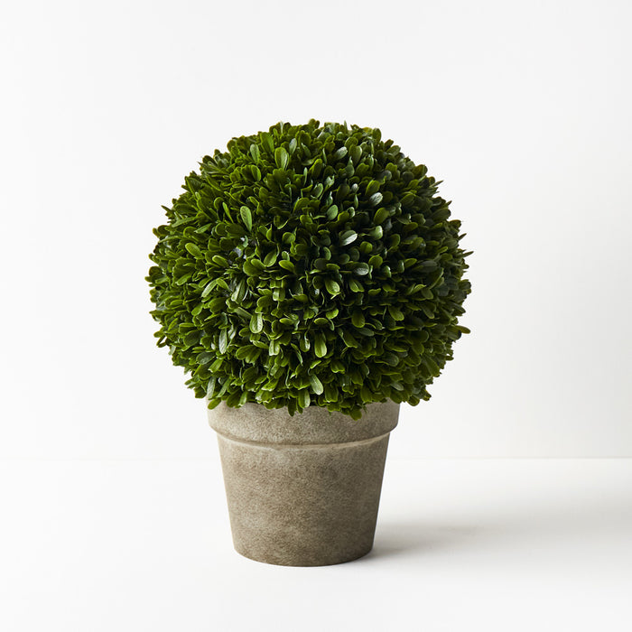 Boxwood Ball in Pot Green 43cm Set of 2