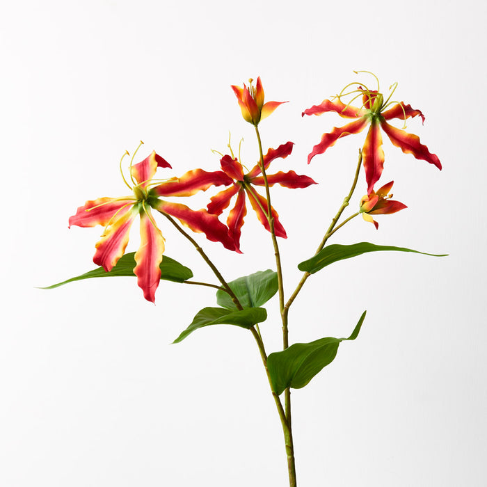 Lily Gloriosa Spray Red Orange 74cm Set of 12