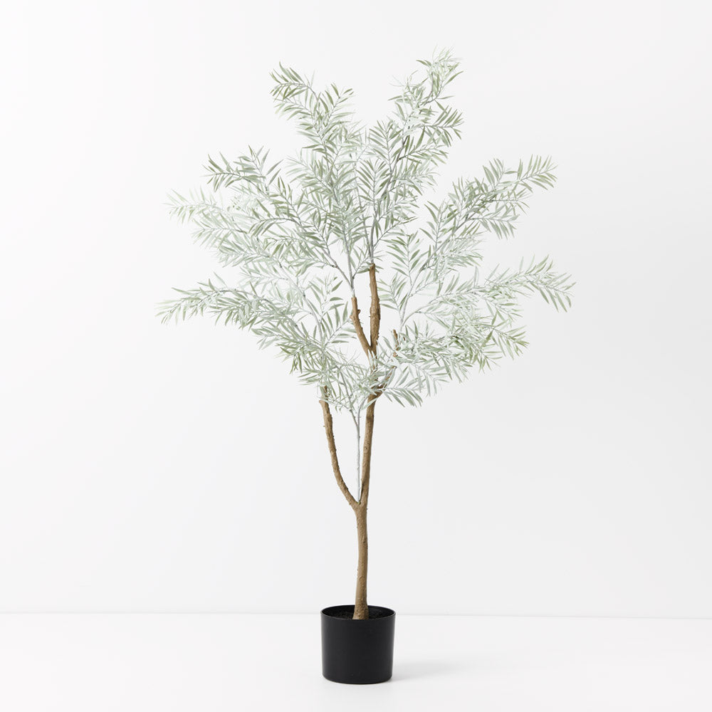 Artificial Acacia Tree Grey 122cm Set of 2 — Flora Designs Australia