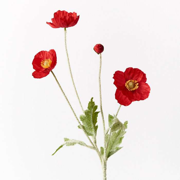 Poppy Iceland Spray Red 60cm Set of 12