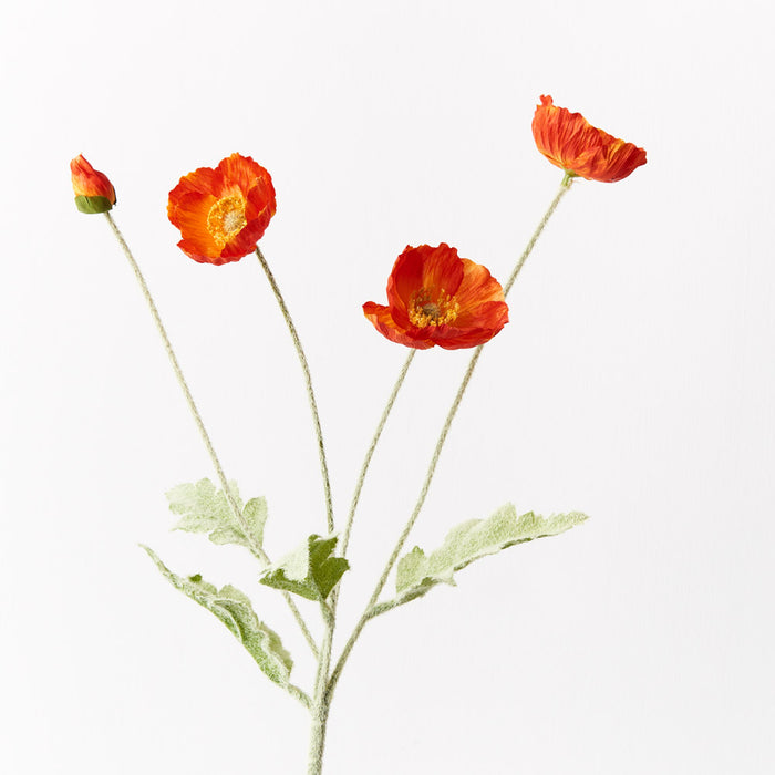 Poppy Iceland Spray Burnt Orange 60cm Set of 12