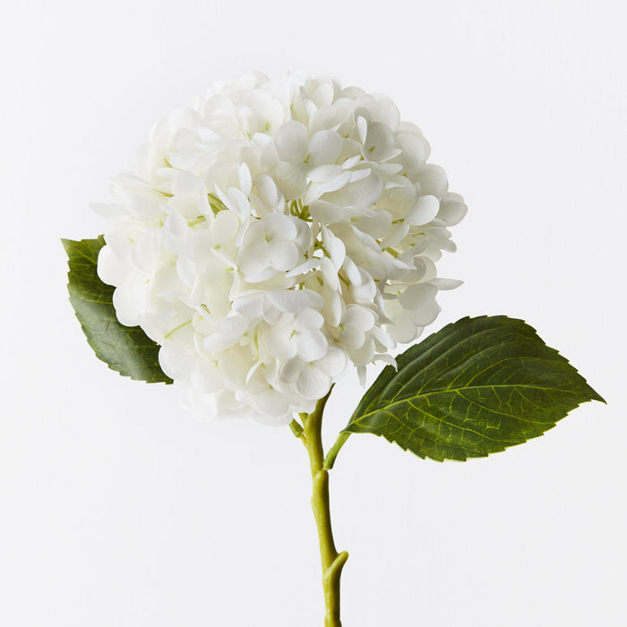 Hydrangea White 49cm Set of 12