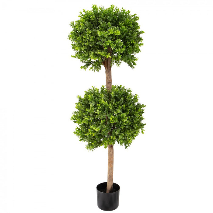 Boxwood Double Ball Tree 120cm