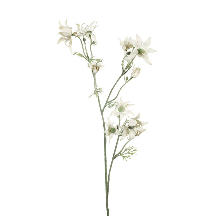 Flannel Flower Spray Cream Green 78cm Long Set of 12