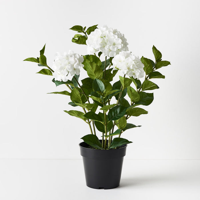 Hydrangea Plant White 69cm Set of 2