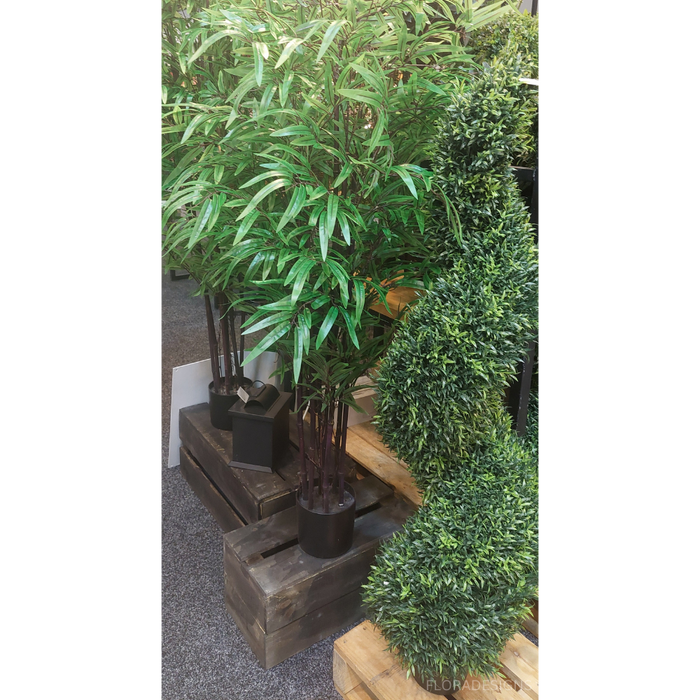 Black Bamboo Tree 150cm