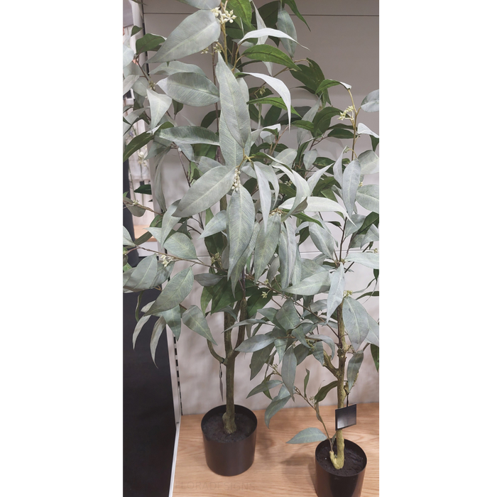 Eucalyptus Tree 120cm Grey Green Set of 2