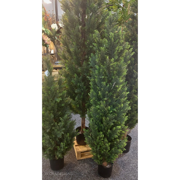 Cypress Pine Tree Green 120cm