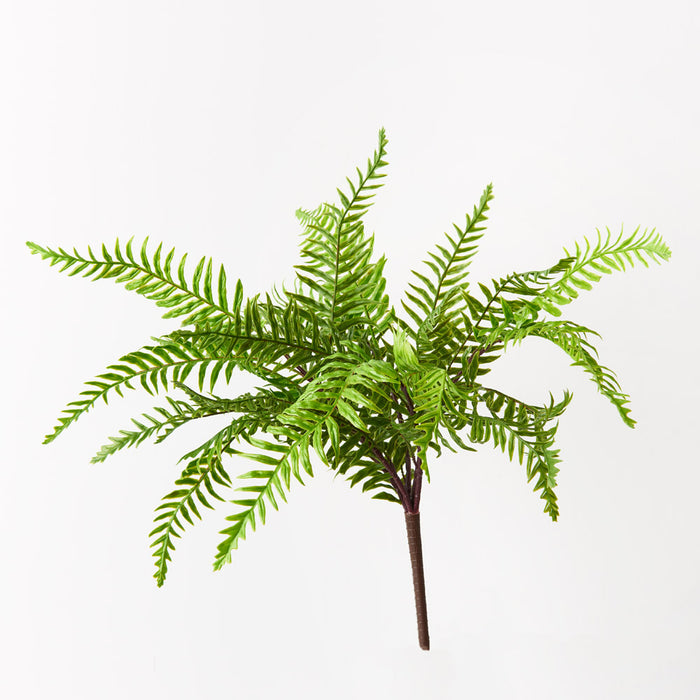 Fern Boston Bush Green 45cm Set of 12