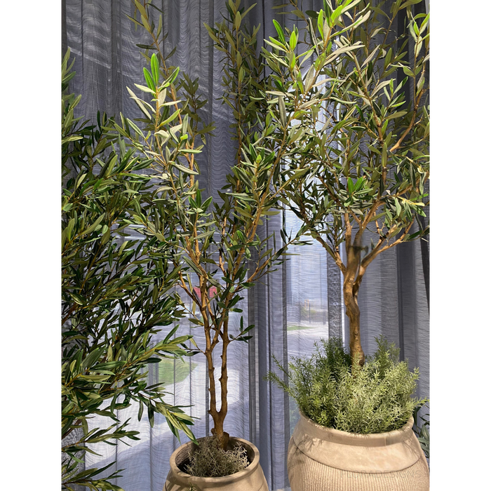 Olive Tree 183cm Grey Green Pack of 2