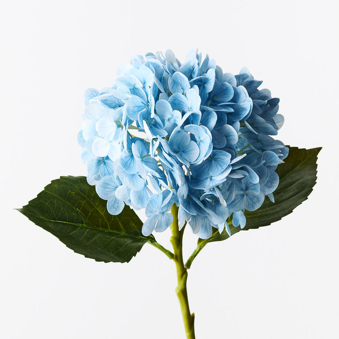 Hydrangea Light Blue 49cm Set of 12