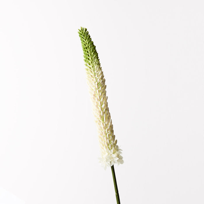 Lily Foxtail White 84cm Set of 12