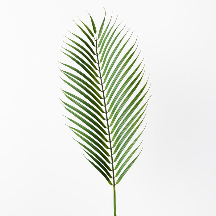 Palm Phoenix Leaf Green 105cm Set of 12