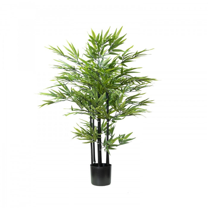 Black Bamboo Tree 110cm