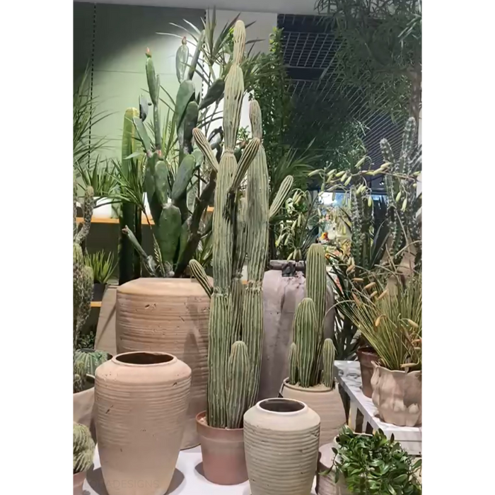 Cactus Column Plant Green Cream 152cm Pack of 2