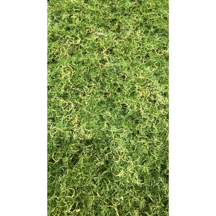 Moss Mat 100cm x 50cm Green Pack of 2