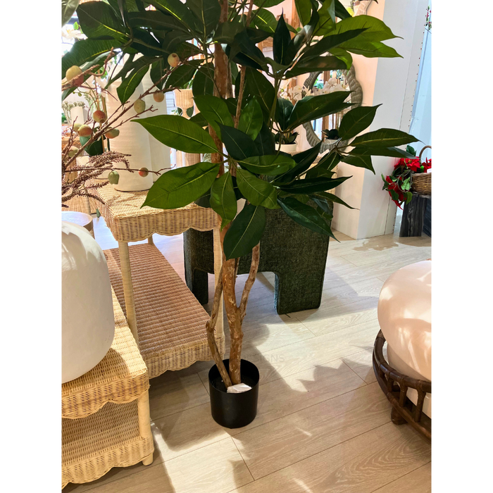 Umbrella Tree 150cm