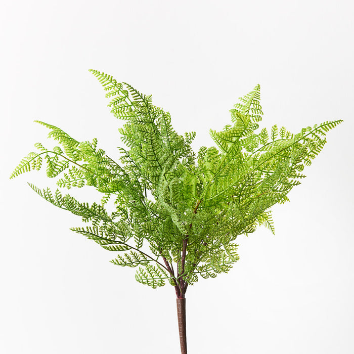 Fern Leather Bush Green 45cm Set of 12