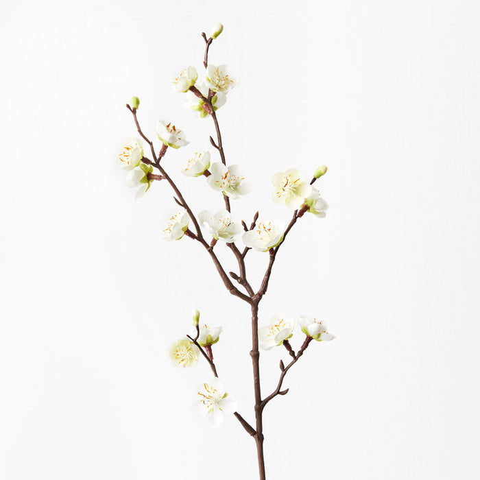 Blossom Plum White 50cm Set of 24