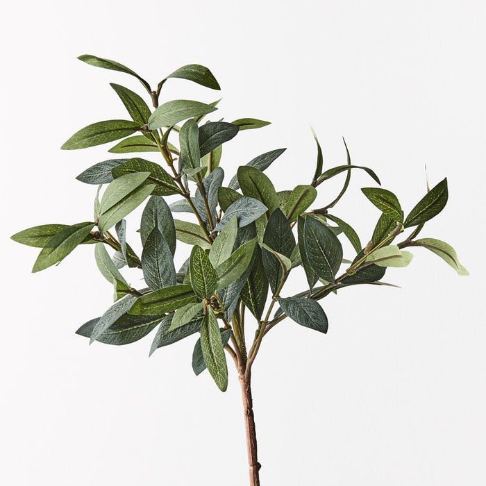 Olive Leaf Pick Without Fruits Grey Green 40cm Set of 12
