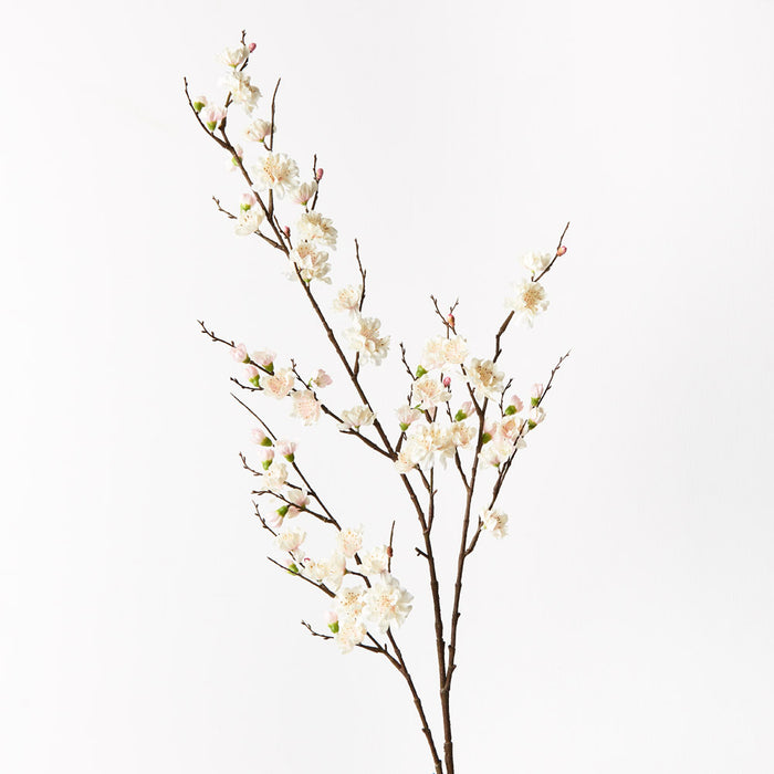 Blossom Plum Cream Pink 110cm Set of 12