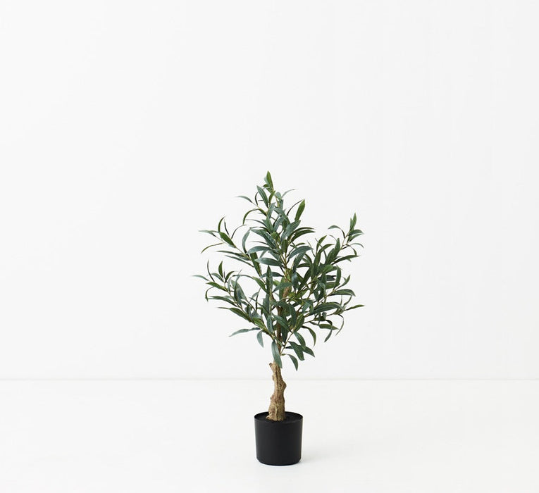 Olive Tree Without Fruit Grey 70cm Set of 2