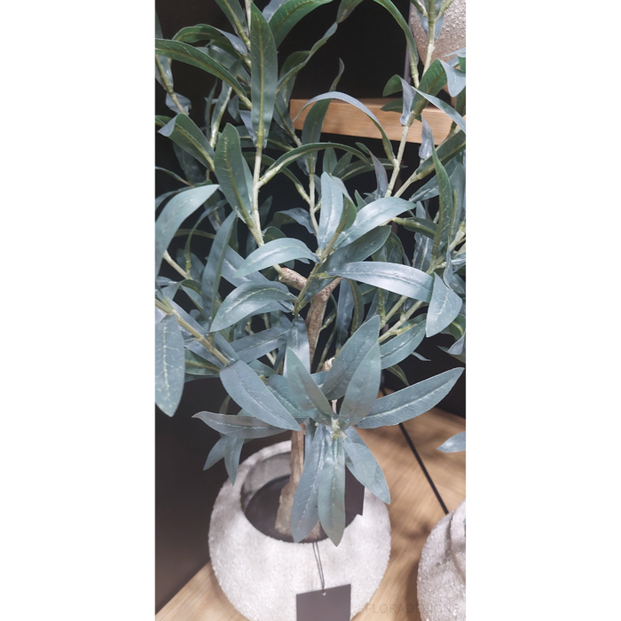 Olive Tree Without Fruit Grey 70cm Set of 2