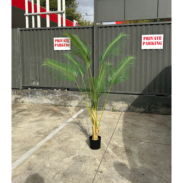 Palm Tree 210cm