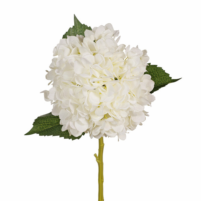 Hydrangea White 48cm Set of 12