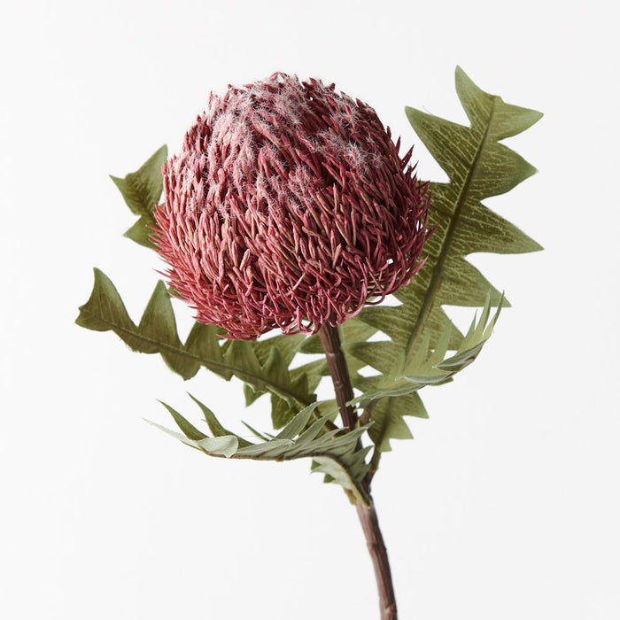 Banksia Acorn Pink 69cm Set of 12