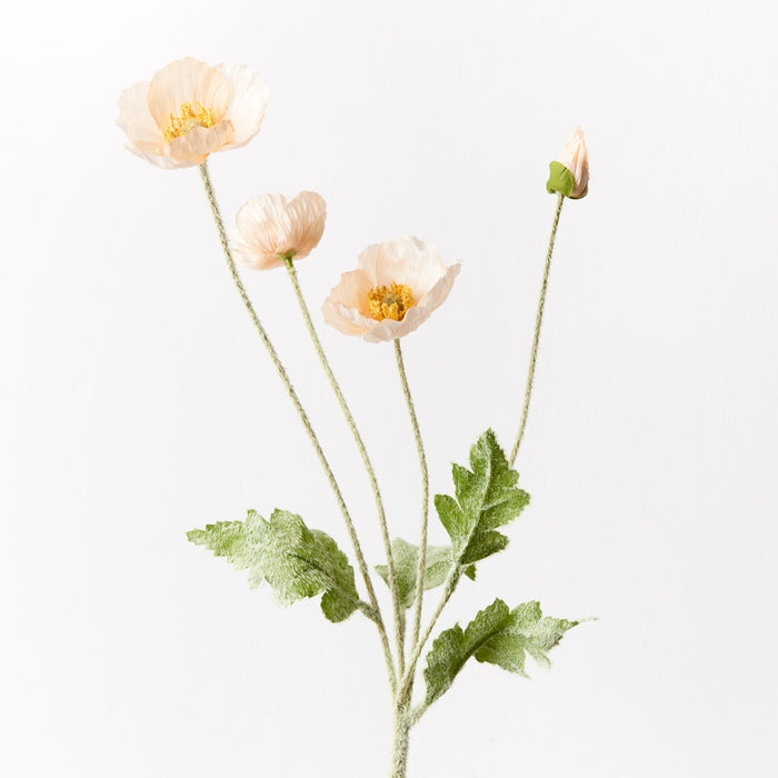 Poppy Iceland Spray Peach 60cm Set of 12