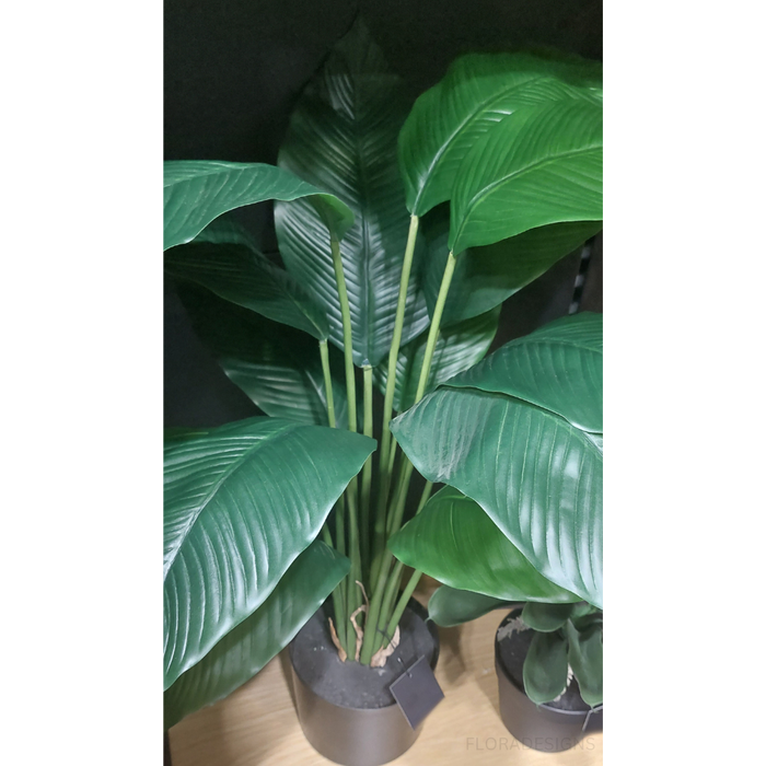 Spathiphyllum Leaf Plant Green 63cm Pack of 2