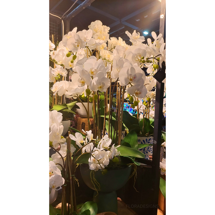 Orchid in Pedestal Vase 92cm
