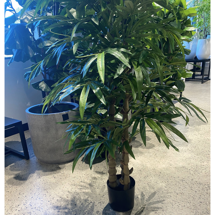 Bamboo Buddha Tree Green 180cm Pack of 2