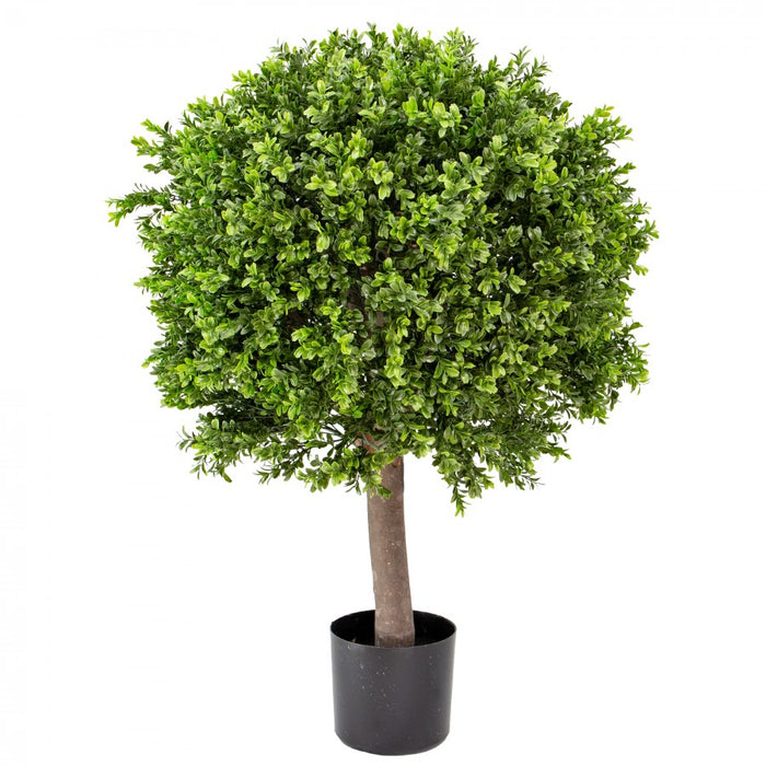 Boxwood Ball In Pot 95cm