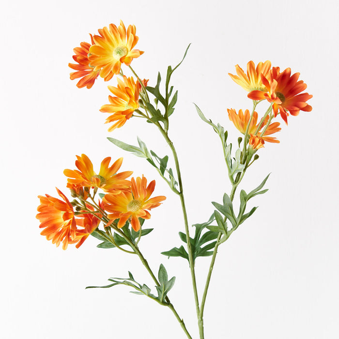 Daisy Spray Orange 73cm Set of 12