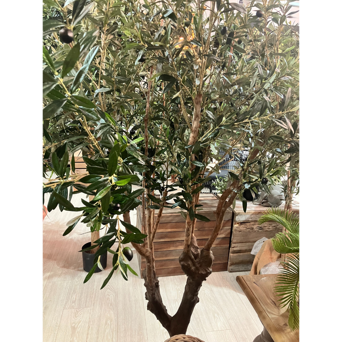 Olive Green Tree 225cm