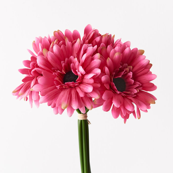 Gerbera Bouquet Fuschia 30cm Set of 6