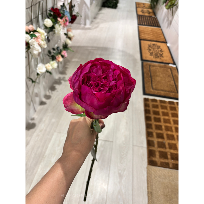 Peony Spray Fuchsia 60cm Pack of 12