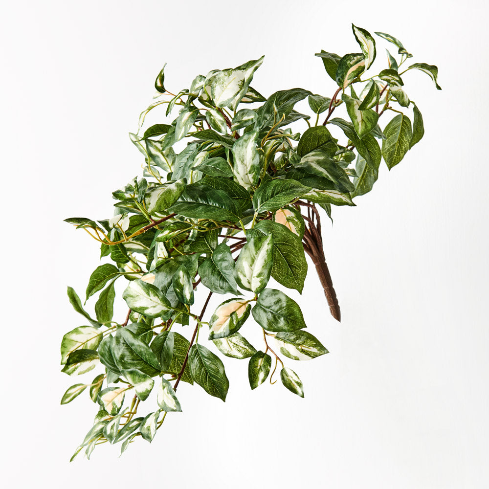 Artificial Hoya Hanging Bush Variegated 53cm Set of 6 — Flora Designs ...