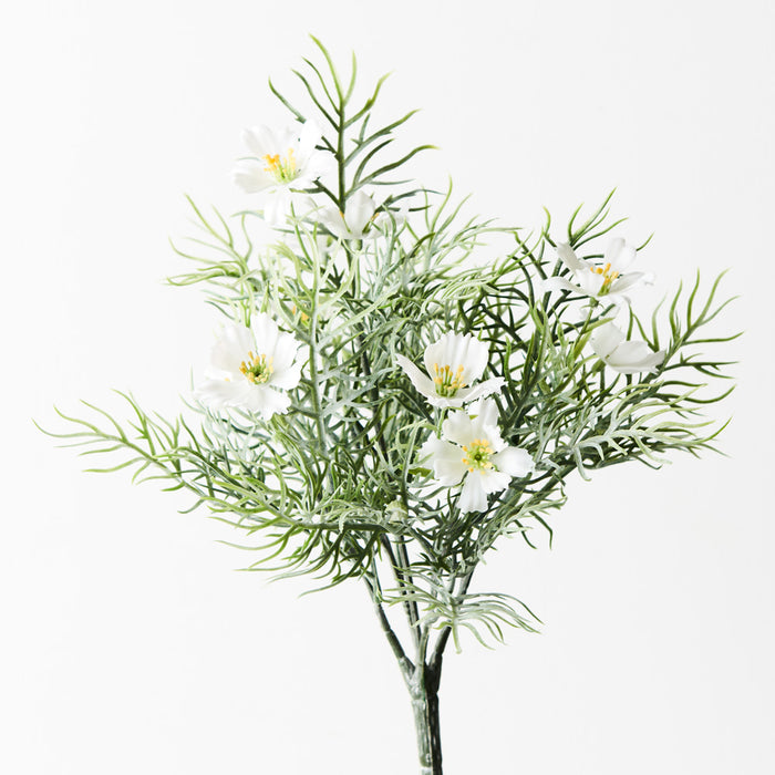 Cosmos Bush White 30cm Set of 12