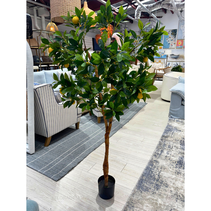Lemon Tree Real Trunk Green 170cm